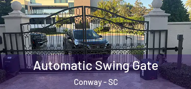  Automatic Swing Gate Conway - SC