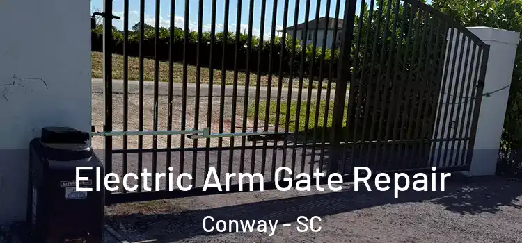  Electric Arm Gate Repair Conway - SC