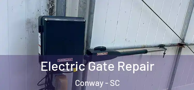  Electric Gate Repair Conway - SC
