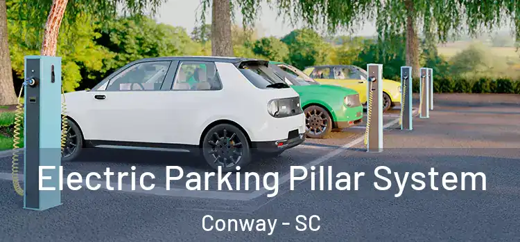  Electric Parking Pillar System Conway - SC