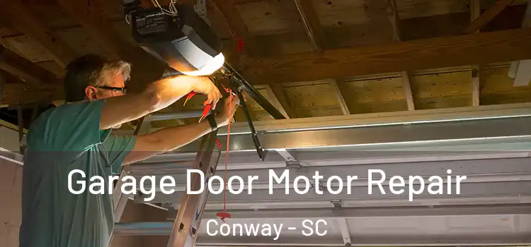  Garage Door Motor Repair Conway - SC