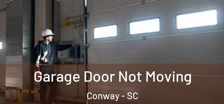 Garage Door Not Moving Conway - SC