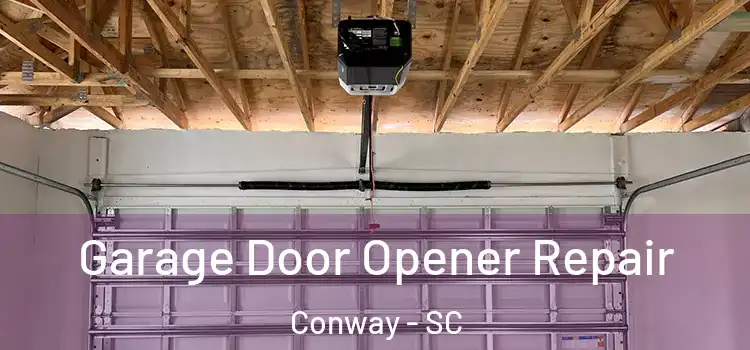  Garage Door Opener Repair Conway - SC