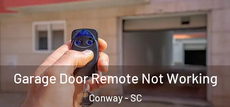  Garage Door Remote Not Working Conway - SC