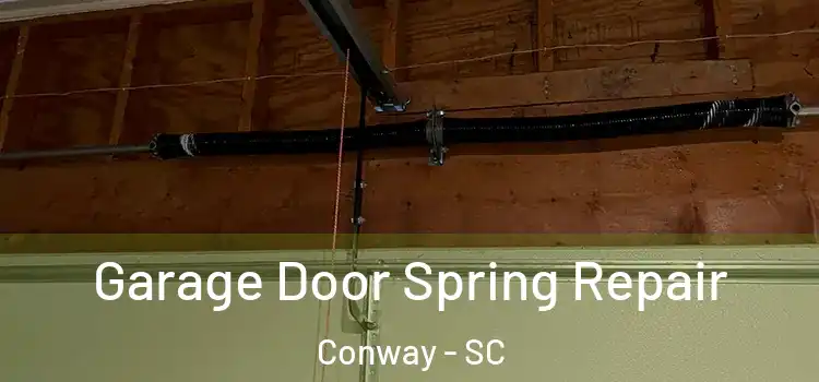  Garage Door Spring Repair Conway - SC