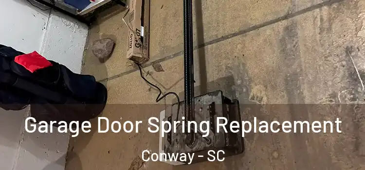  Garage Door Spring Replacement Conway - SC