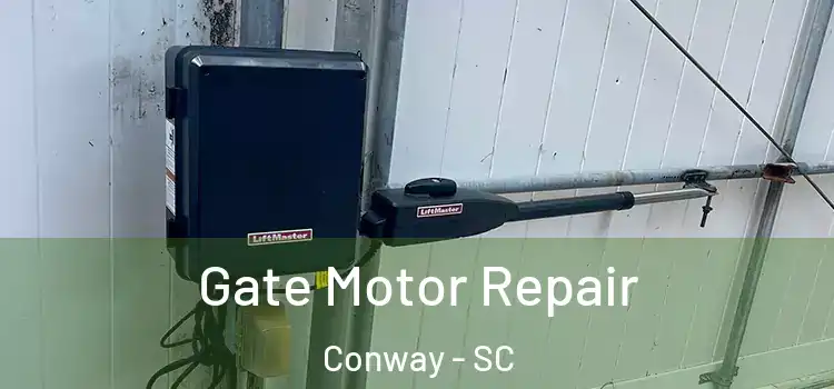  Gate Motor Repair Conway - SC