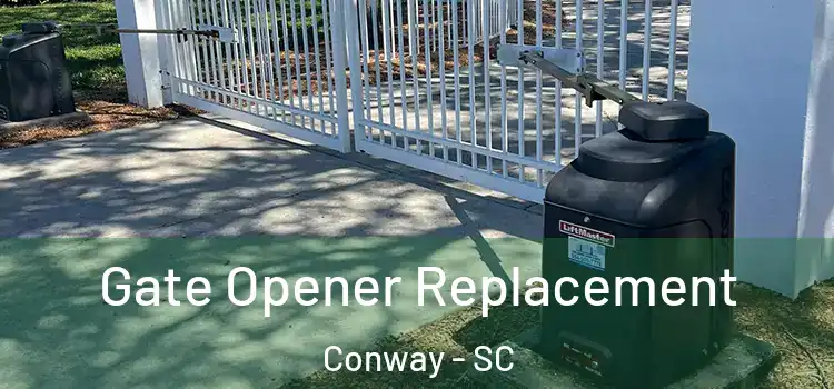  Gate Opener Replacement Conway - SC