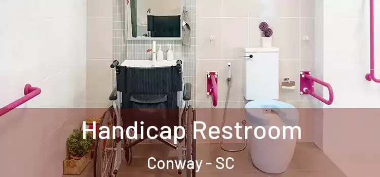  Handicap Restroom Conway - SC