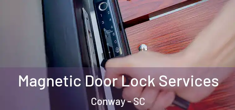  Magnetic Door Lock Services Conway - SC