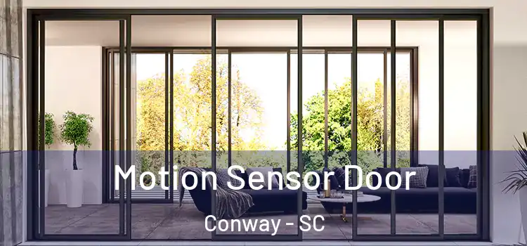  Motion Sensor Door Conway - SC